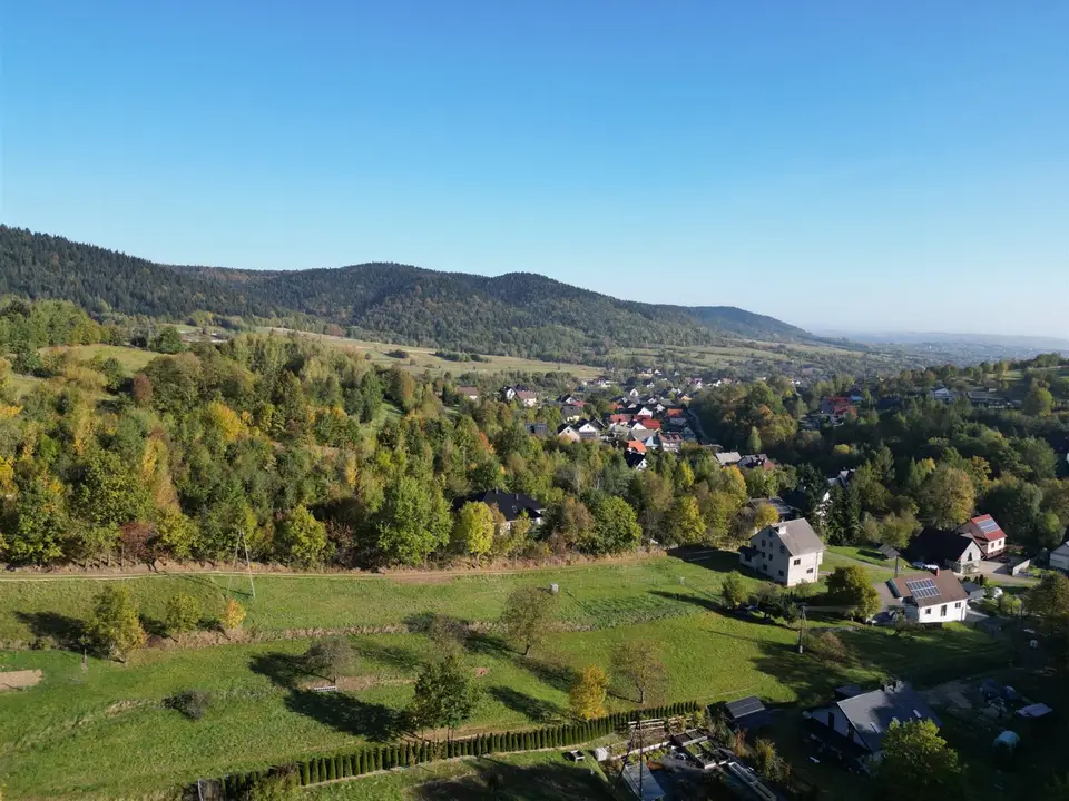 Zdjęcie 11