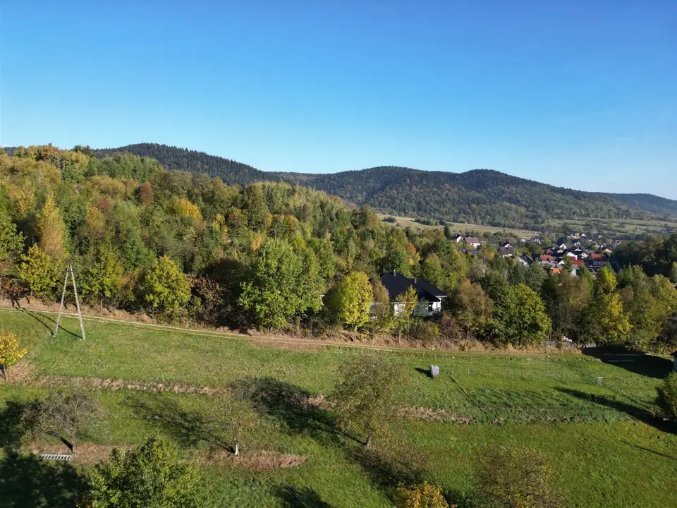 Zdjęcie 12