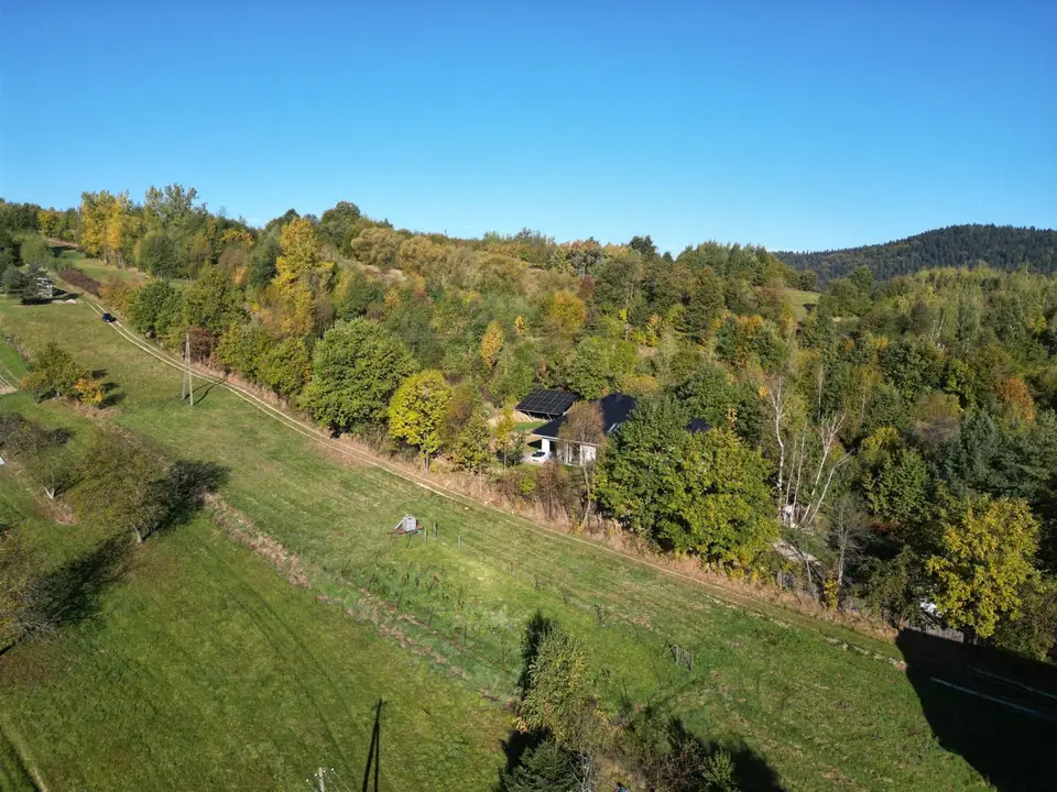 Zdjęcie 13