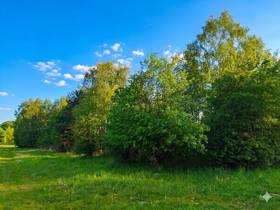 Zdjęcie 3