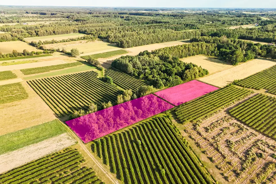 Zdjęcie 7