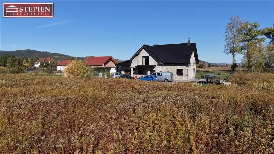 Zdjęcie 10