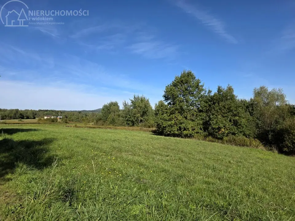 Zdjęcie 15