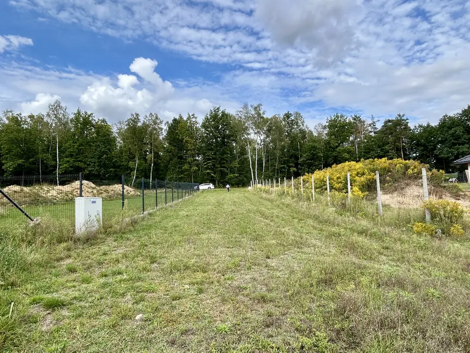 Zdjęcie 10