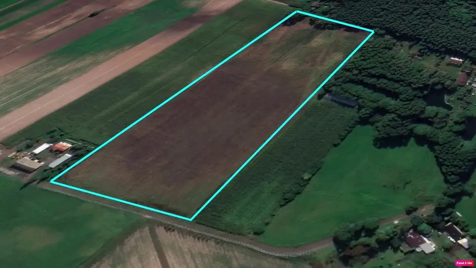 Działka leśna 4,14 ha, Modlna