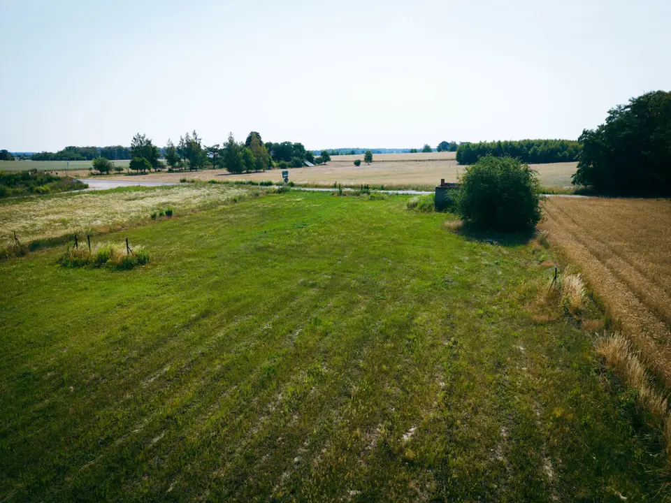 Zdjęcie 12