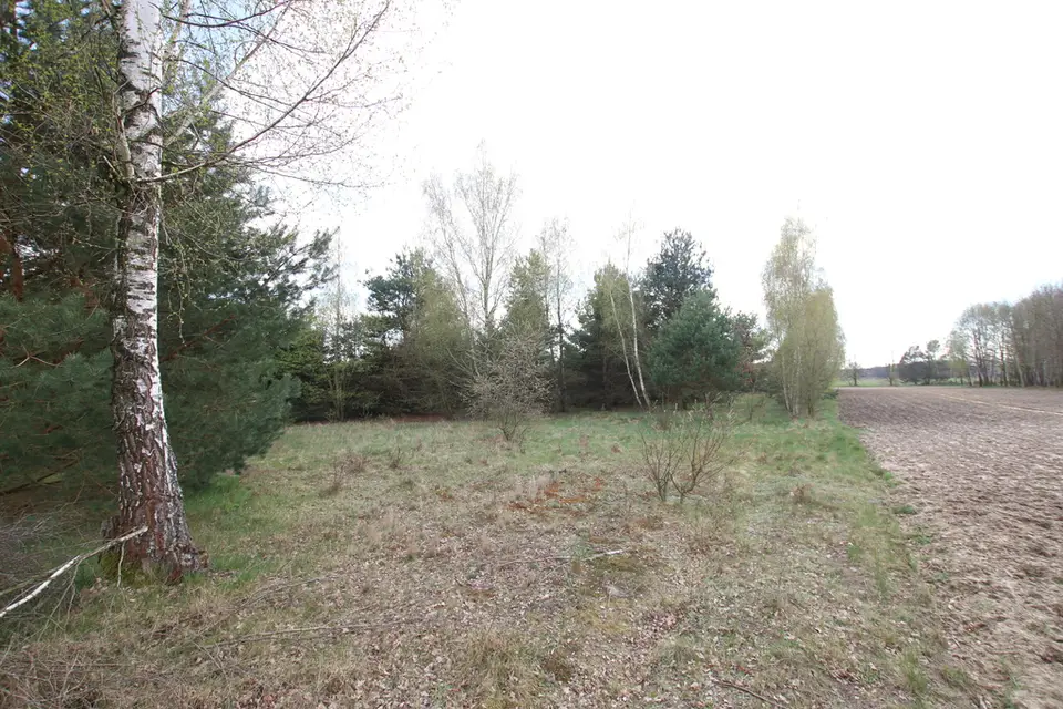 Zdjęcie 7