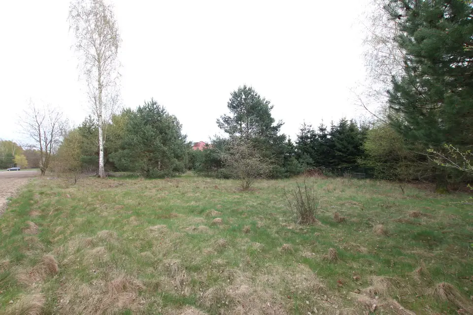 Zdjęcie 8