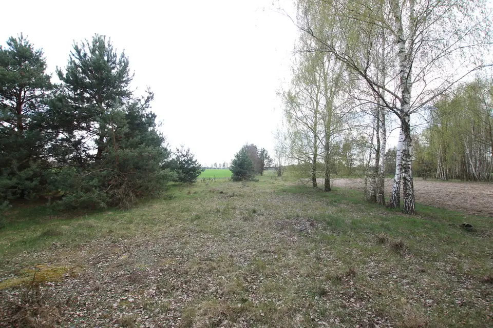 Zdjęcie 10