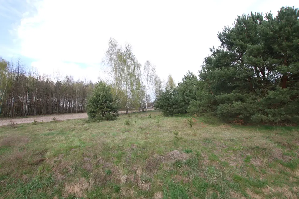 Zdjęcie 13