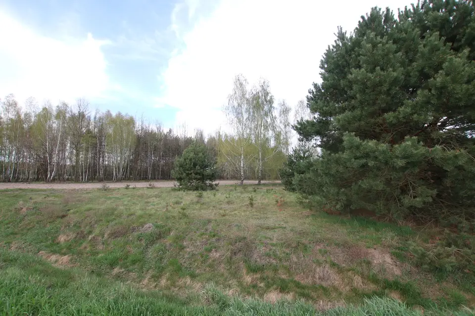 Zdjęcie 14
