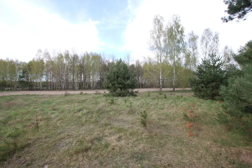 Zdjęcie 15