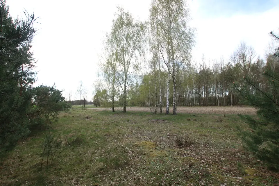Zdjęcie 16