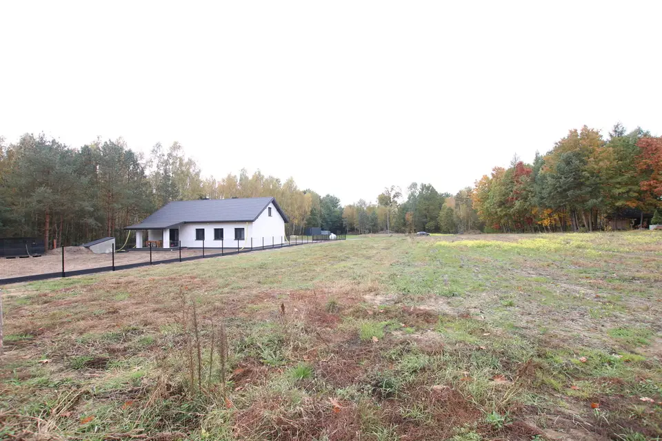 Zdjęcie 12