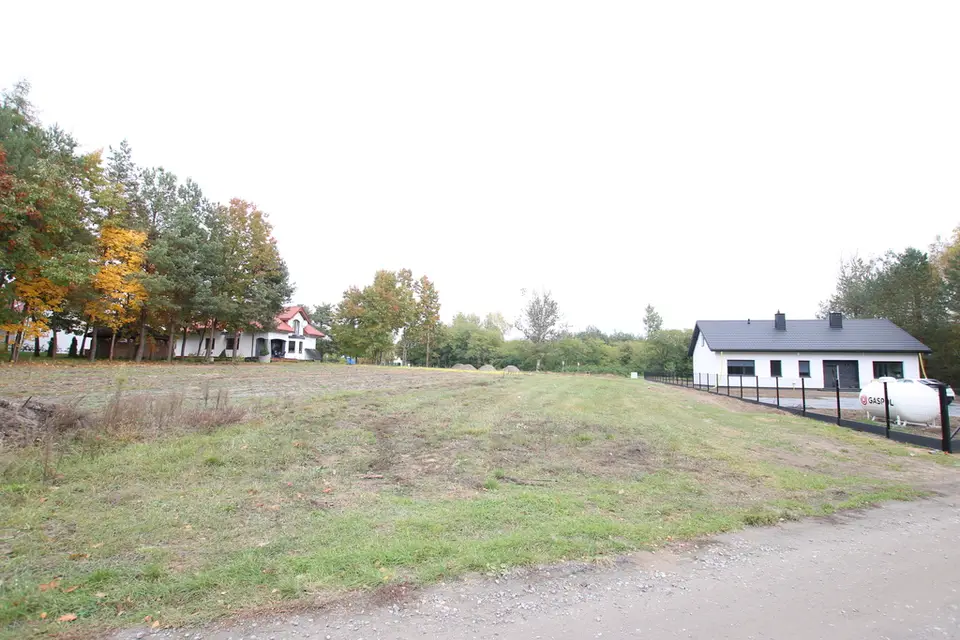 Zdjęcie 15
