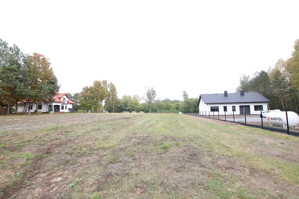Zdjęcie 16