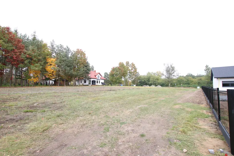 Zdjęcie 17