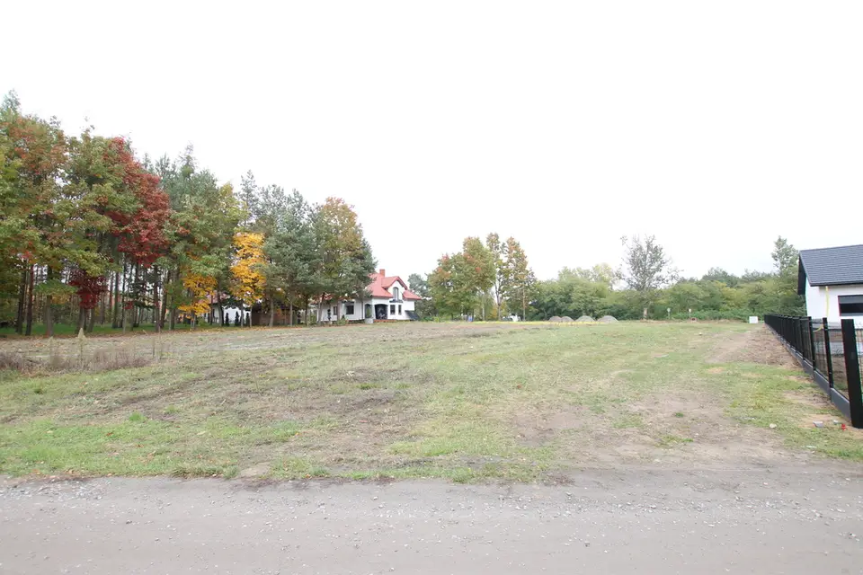 Zdjęcie 18