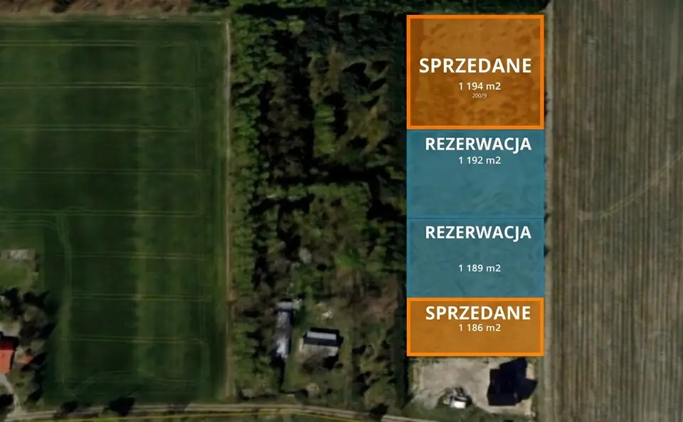 Zdjęcie 2