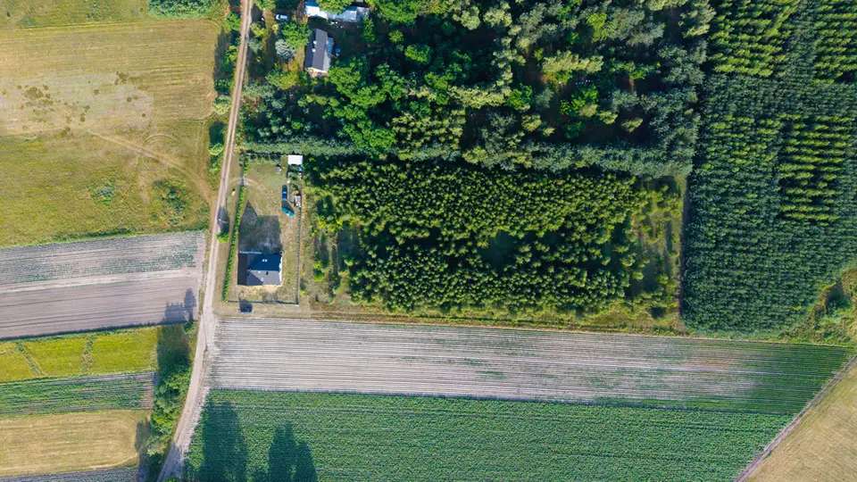 Zdjęcie 4