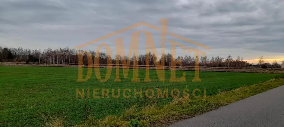 Zdjęcie 2