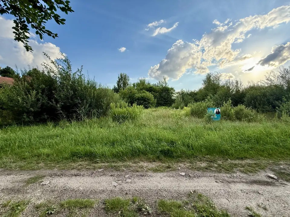 Zdjęcie 8