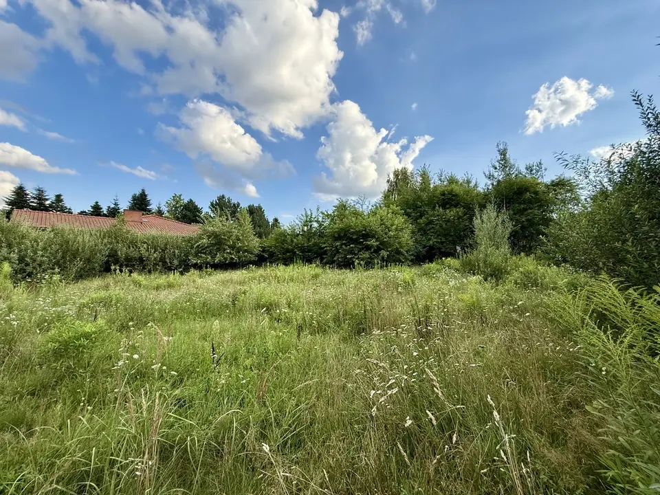 Zdjęcie 9