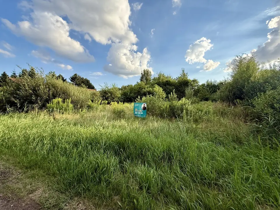 Zdjęcie 10