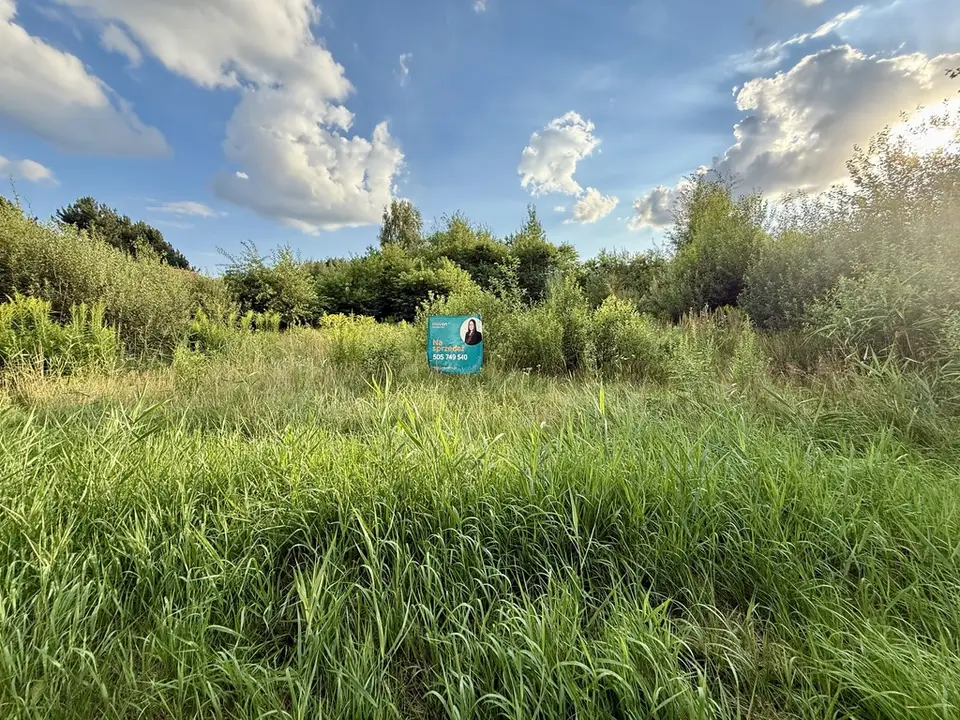 Zdjęcie 11