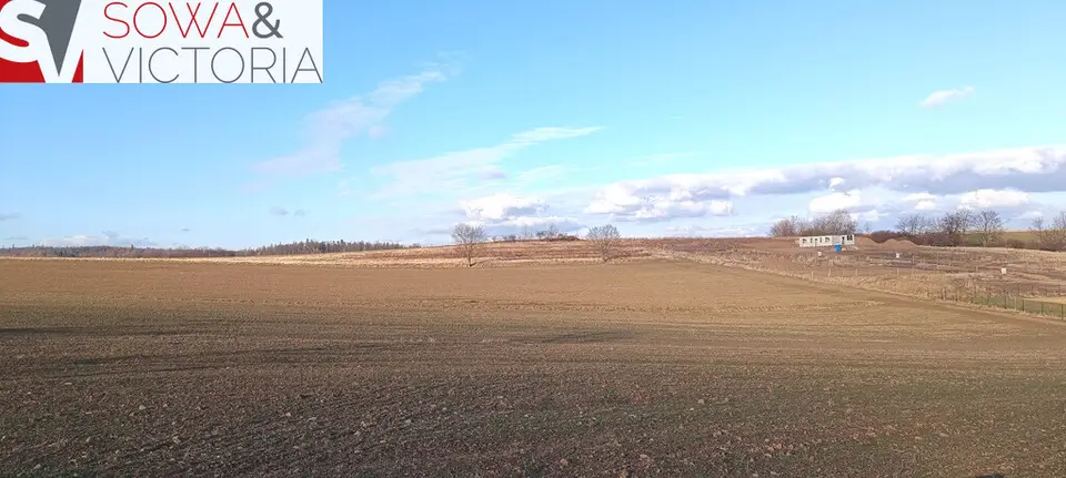 Zdjęcie 3