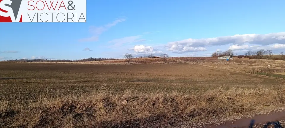 Zdjęcie 4
