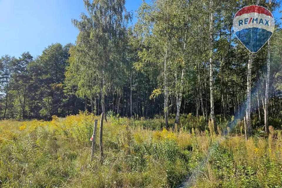 Zdjęcie 2