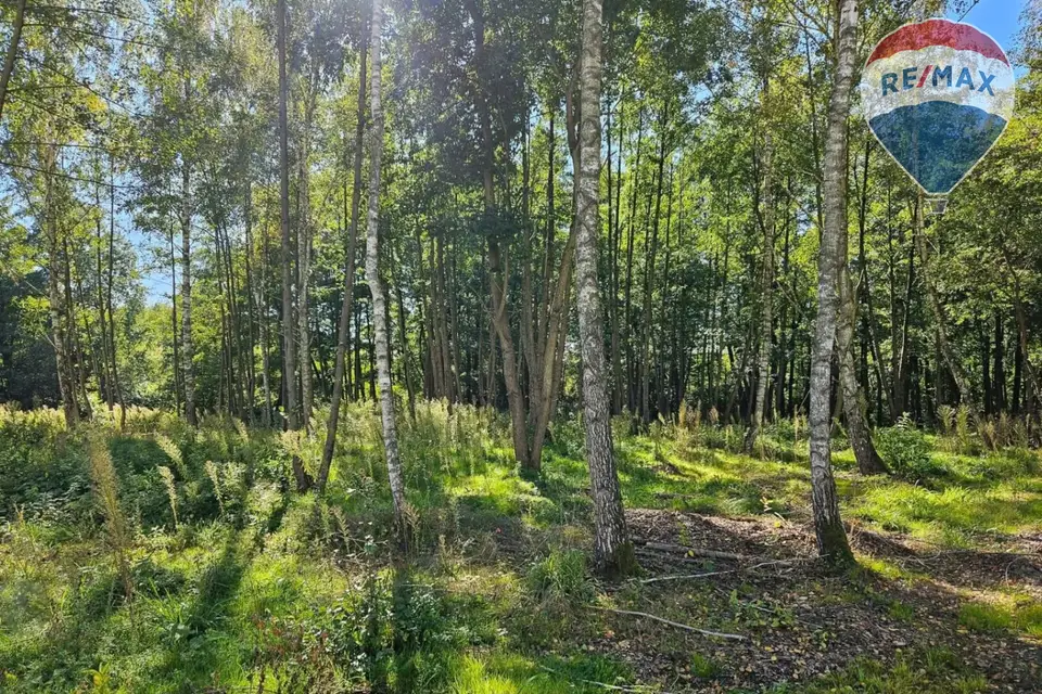 Zdjęcie 2