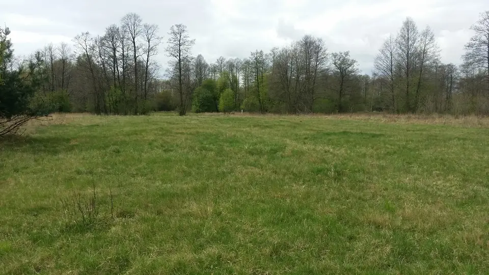 Działka budowlana 1 205 m², Budy Zosine