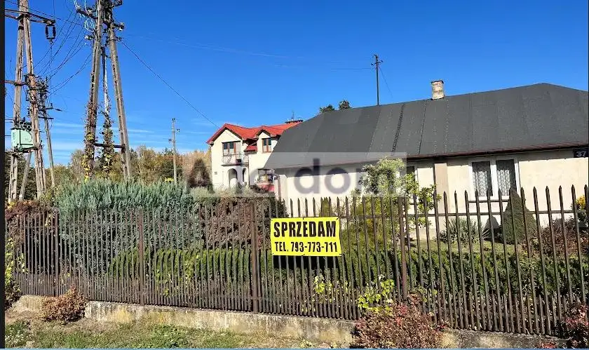 Zdjęcie 8