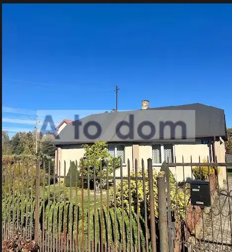 Zdjęcie 10