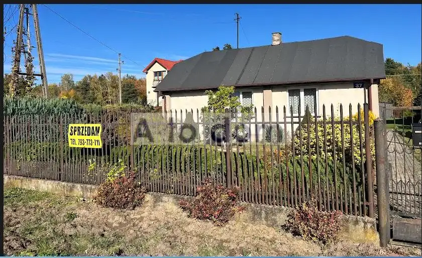 Zdjęcie 12
