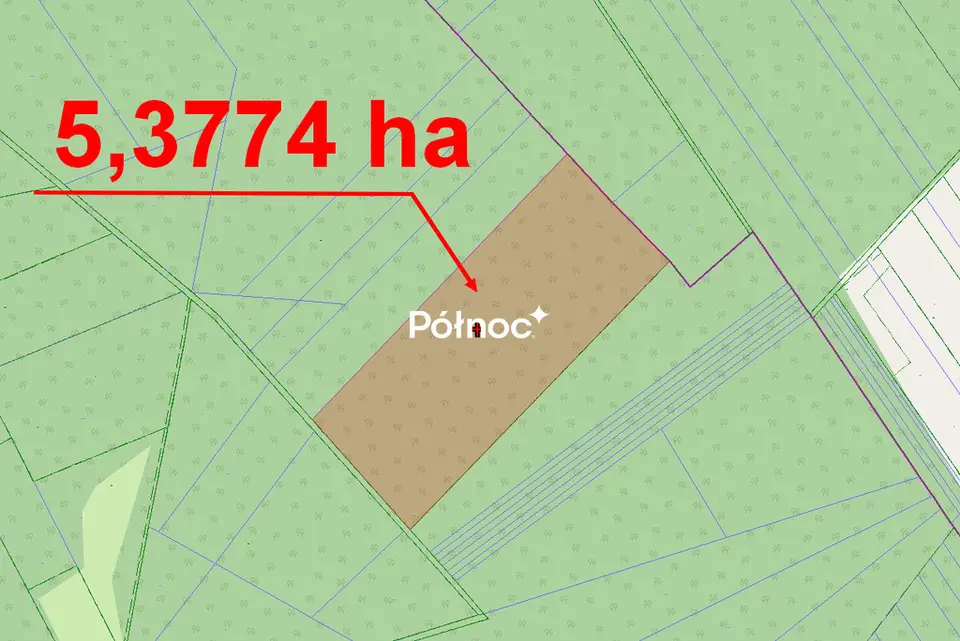 Działka leśna 5,38 ha, Mokre