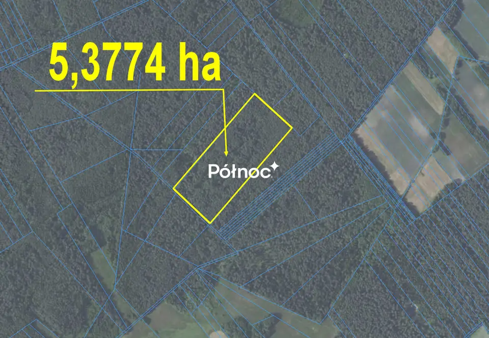 Zdjęcie 2