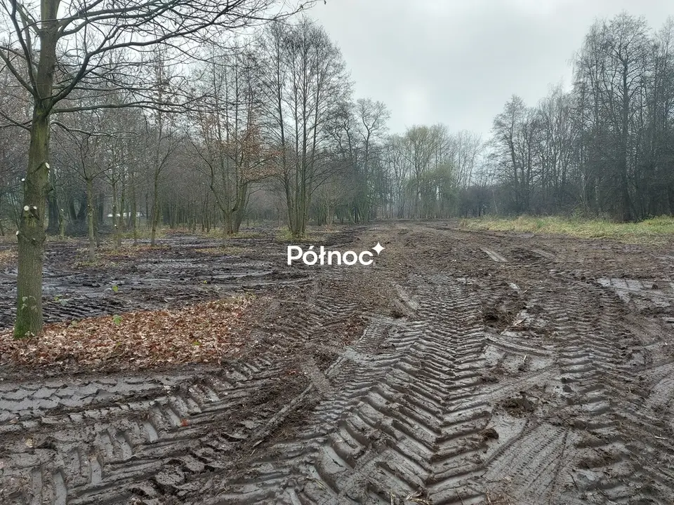 Zdjęcie 3