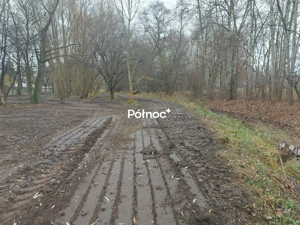 Zdjęcie 4