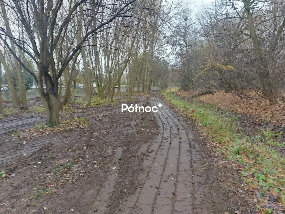 Zdjęcie 5