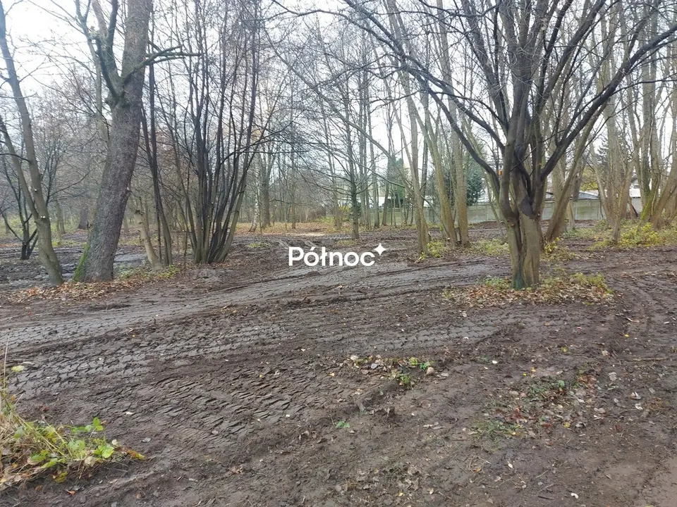 Zdjęcie 6