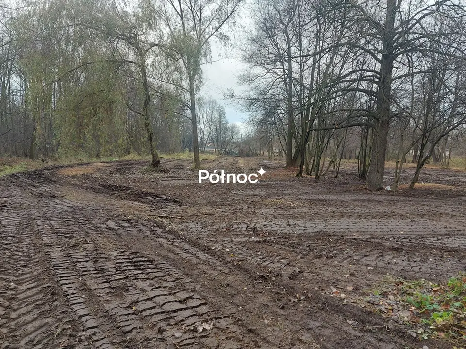 Zdjęcie 7