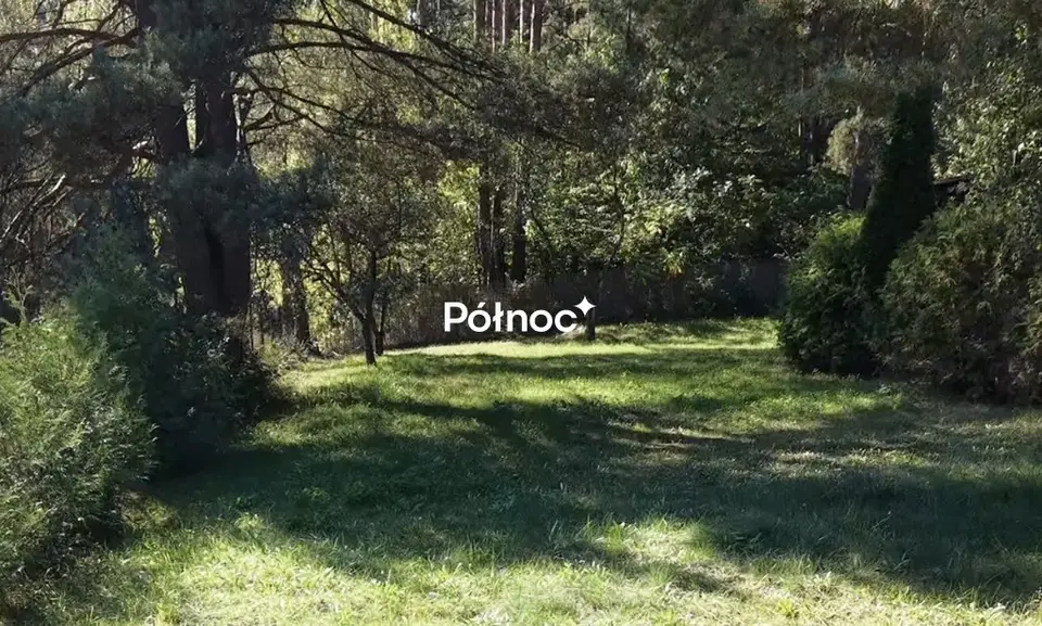 Zdjęcie 6