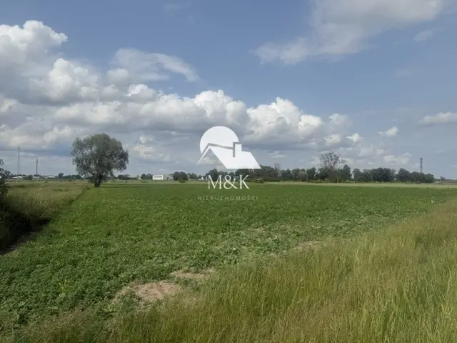 Zdjęcie 4