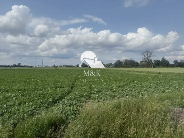 Zdjęcie 4