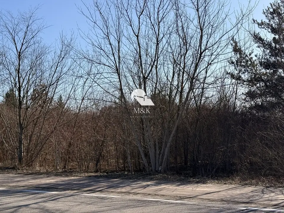 Zdjęcie 4
