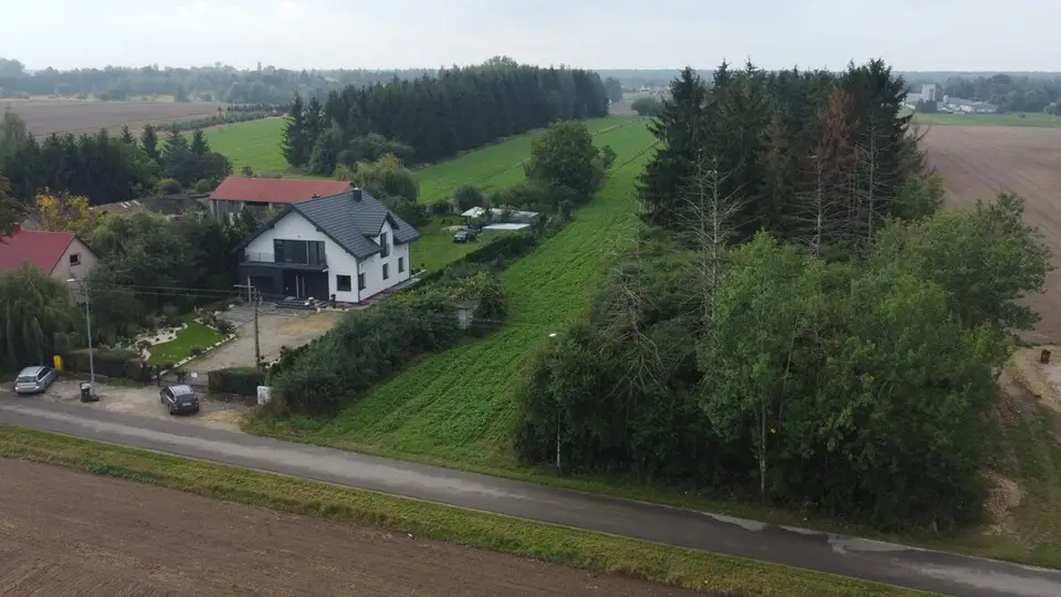 Zdjęcie 3
