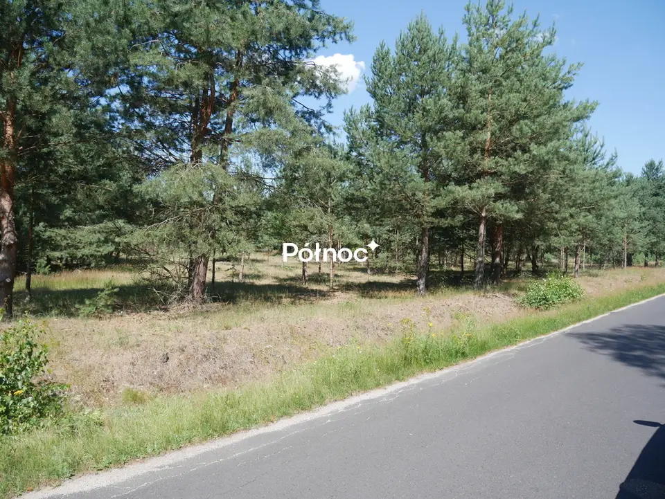 Zdjęcie 5